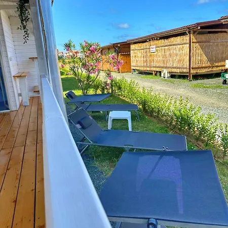 каравани дрийм арапя