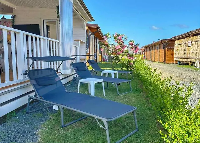 каравани дрийм арапя キャンプ場 *