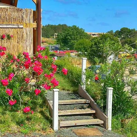 Campingplads каравани дрийм арапя