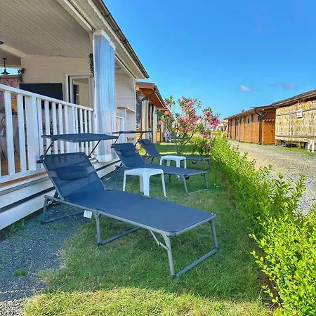 каравани дрийм арапя Campingplads *