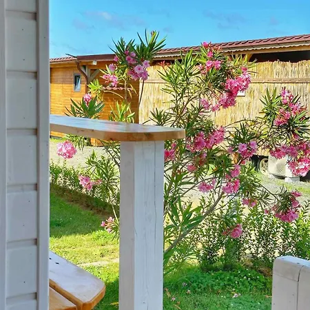 مكان تخييم каравани дрийм арапя