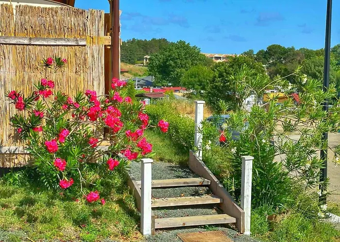 Кемпинг каравани дрийм арапя