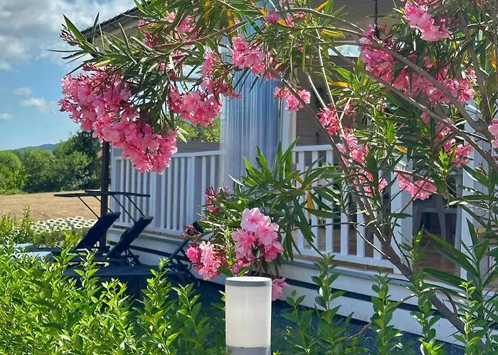 каравани дрийм арапя * Царёво