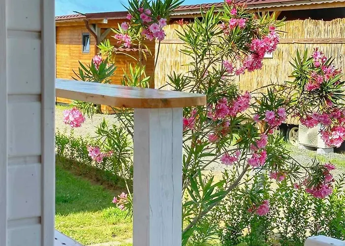 Кемпинг каравани дрийм арапя